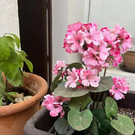 Casa De La Abuela Tere *
